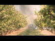 Orchard Sprayer 3 1480